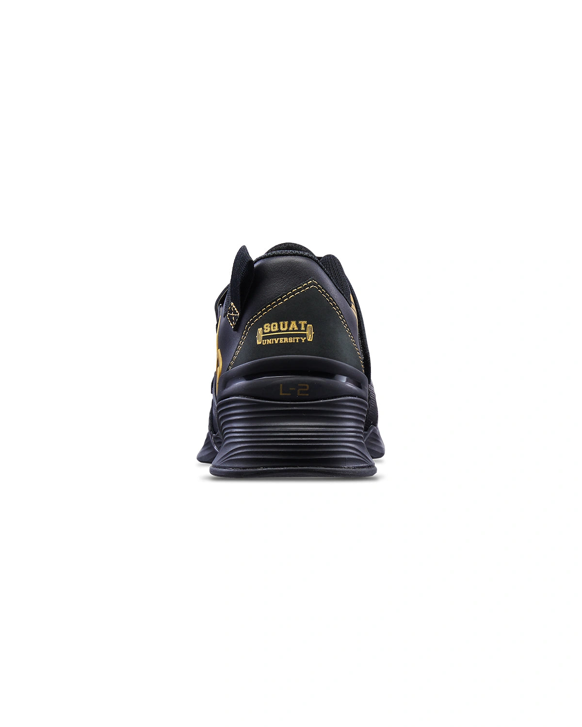 TYR MEN'S L-2 LIFTER